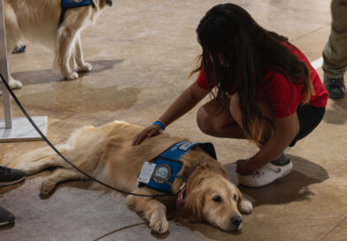 Comfort dogs offer support : NPR