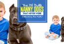 Are Pit Bulls Nanny Dogs? Debunking the Nanny Dog Myth