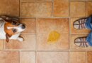 Grass Litter Boxes vs Housebreaking Training Pads – Top Dog Tips