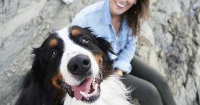 How Your Pet Parenting Style Affects Your Dog’s Behavior – Dogster