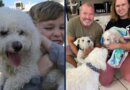 Dog Who Went Missing For 12 Years Reunites With Family