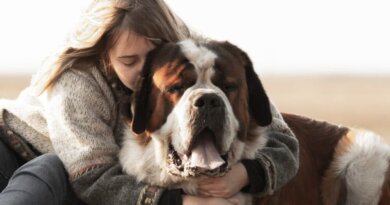 FDA Agrees On The Effectiveness Of Loyal’s Longevity Medication For Large Dogs