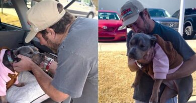 Dave Portnoy’s Rescue Dog Goes Viral, Uses Platform To Raise Money For An Animal Rescue