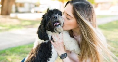 9 Best Breeds For First-Time Dog Owners